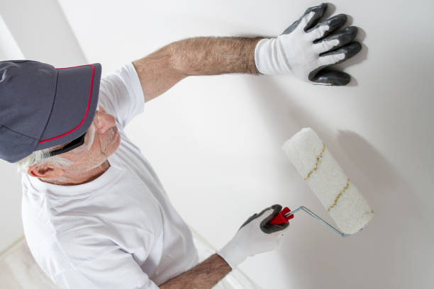 Best Mold Odor Removal Services  in Stanton, KY
