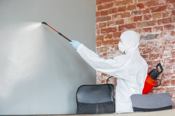 Best Environmental Consulting for Mold Prevention  in Stanton, KY