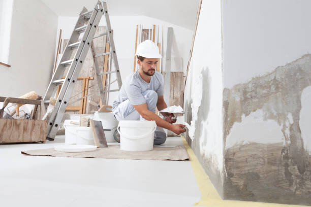  Stanton, KY Mold Removal Pros
