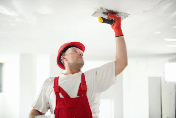 Best Basement Mold Removal  in Stanton, KY