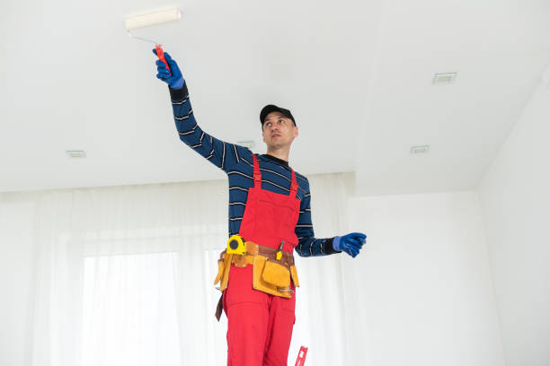 Professional Mold Removal in Stanton, KY